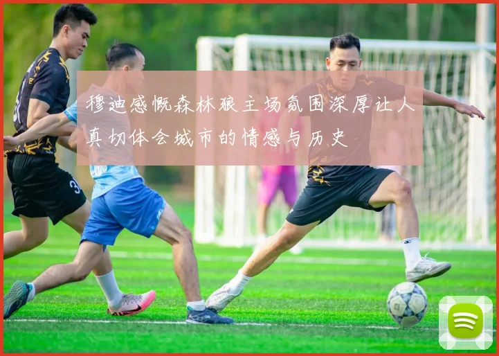 穆迪感慨森林狼主场氛围深厚让人真切体会城市的情感与历史