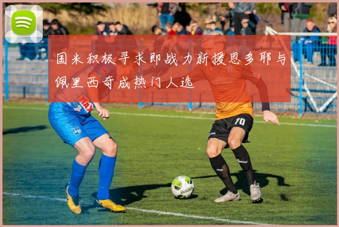 国米积极寻求即战力新援恩多耶与佩里西奇成热门人选